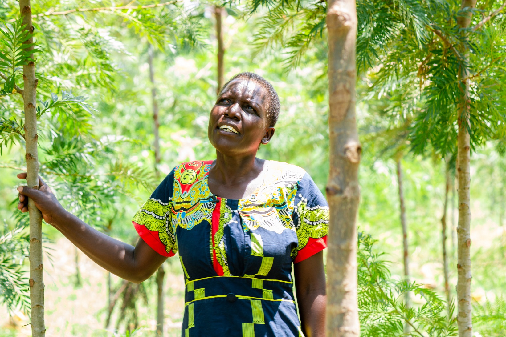 Jane Nekesa, agroforestry farmer from Uganda. Photo by Vi Agroforestry.
